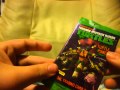 Teenage Mutant Ninja Turtles trading card starter ...