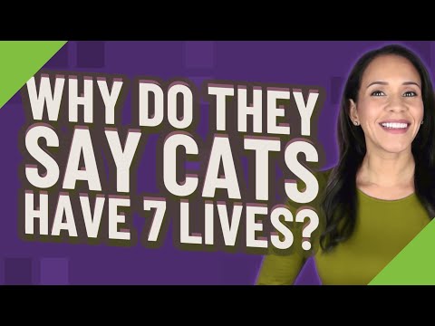 Why do they say cats have 7 lives?