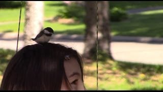 Bird Lands on Girl&#39;s Head Playing Flute on a Swing