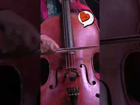 Alasdair Fraser & Natalie Haas on TMBS! Full show above. #livemusic #radio #folk #fiddle #cello