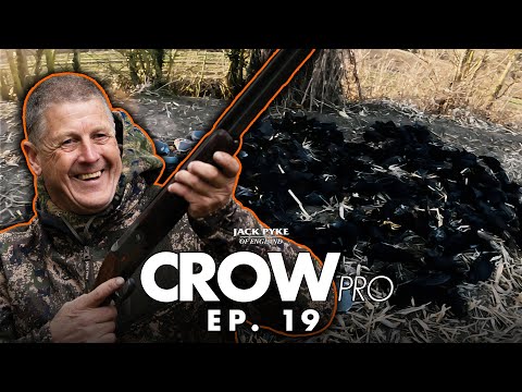 Decoying Smart Corvids | Andy Crow | CROWpro EP 19 | In The Hide | GoPro Only | Fieldsports