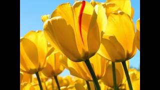 Kidz Bop California Gurls