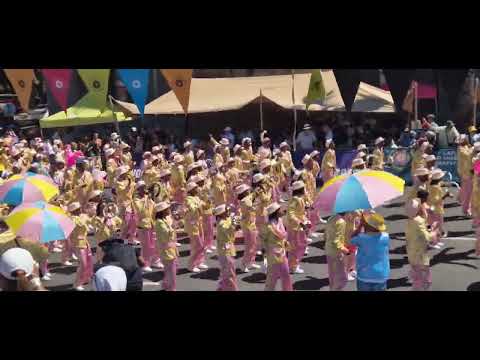 Cape Town Grand Street Parade 2025 January 4th #capetown #carnival #southafrica we feel it and you?