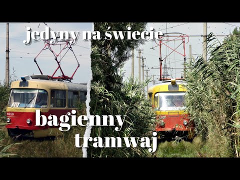 odc. 66 | TRAMWAJ TRZCINOWY / BAGIENNY