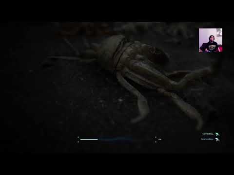 Käyttäjän Niilo22 PS4-live-lähetys