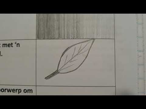 Skeppende Kunste GRAAD 8: 5 Mei 2020 - periode 4 (05084)