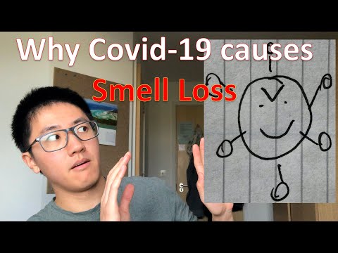 Why does Covid-19 cause Smell Loss (anosmia)? What are the recovery times?