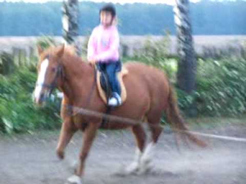 WEEKEND NA KONIU-na Domenie