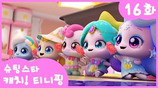 ⭐️Shooting Star Catch! Teeny Ping⭐️ Episode 16 | Dance Ping's Dance is Five Stars