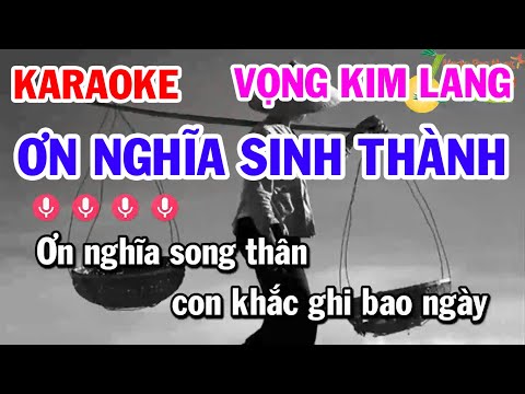 Karaoke Vọng Kim Lang - Ơn Nghĩa Sinh Thành Nhạc Hay Ý Nghĩa