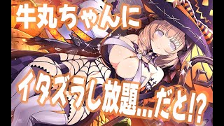 牛丸ちゃん先生への警戒心０で心配になっちゃいます！#シノマス #シノビマスター  #閃乱カグラ