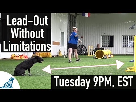 Lead-Out Without Limitations - Dog Agility Training With Kayl McCann
