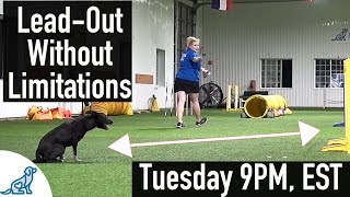 Lead-Out Without Limitations - Dog Agility Training With Kayl McCann