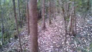 preview picture of video '#3 Trilha Downhill da Cerca + Trecho novo Trilha do Eucalipto - Santa Branca 03/08/2013'