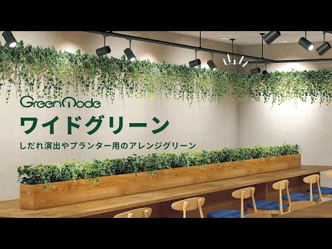 ワイドグリーン｜しだれ演出やプランター用のアレンジグリーン