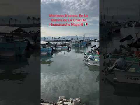 La Cruz De Huanacaxtle Nayarit 🇲🇽🦐🦞❤️Mariscos frescos.#rivieranayarit #nayarit