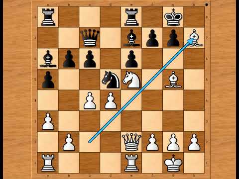 Neverovatna partija igrana na nevidjeno povezom preko očiju 😎😎😎 KOLTANOWSKI vs NN # 2244