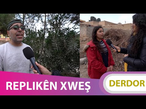 DERDOR - REPLIKÊN XWEŞ
