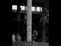 You Tude Maya Bhai Entry Scene From Movie Shootout At Lokhandwala Whatsapp Status Video