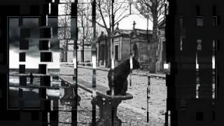 Let Me Introduce You to the End - The Brightness