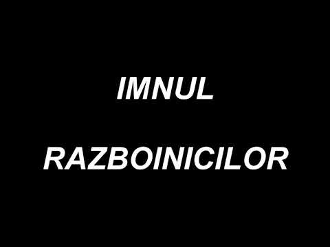 Războinici song