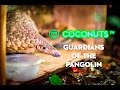 Guardians Of The Pangolin The Fight To Save The World S Most Trafficked Animal