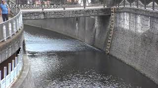 落合調節池映像監視局