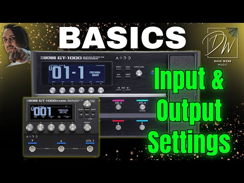 BOSS GT-1000 BASICS - Input & Output Settings - Assign Guitars
