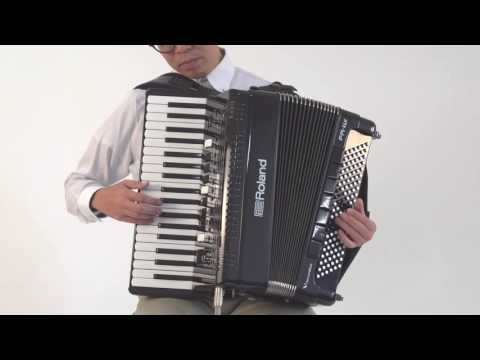 ROLAND FR 4x BK - Black image 14