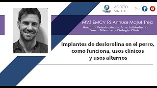 Implantes de Deslorelina en el Perro, Cómo Funciona, Usos Clínicos - Dr. Lluis Ferre Dolcet