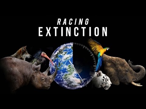 The 5 Major Extinctions Of This Planet - Racing Extinction
