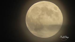 &quot;I See The Moon&quot;   Jim Brickman w/ Forest Moon Scenes