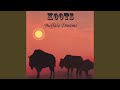 Buffalo Dreams