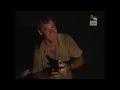 Episode 1 Staffel 1 Von Crocodile Hunter Abenteuer In Sambia