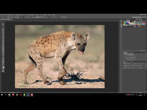 Как создать PDF презентацию в Фотошопе