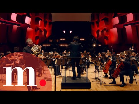 Aziz Shokhakimov with Stefan Dohr - Mozart's Horn Concerto No. 4 in E-flat major, K. 495