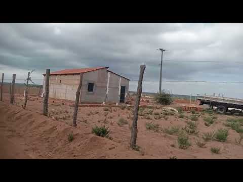 Disponivel 220 hectareas no municipio de ipubi PE top bem localizada #chapadadoararipe #fazenda 