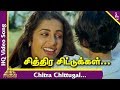 En Bommukutty Ammavukku Tamil Movie Chitra Chittugal Video Song Sathyaraj Suhasini Ilayaraja