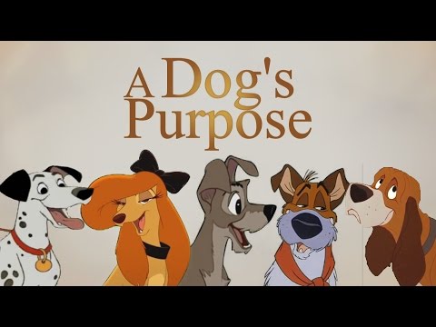A Dog's Purpose ~ Disney Trailer