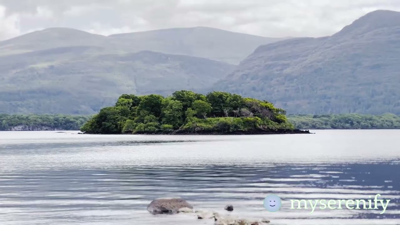 7 Minute Meditation with Jay Shetty: A Quick Guide, 7 minute meditation jay shetty