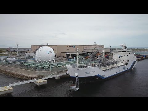 Japan setzt beim Übergang zur CO2-Neutralität auf Wasserstoff