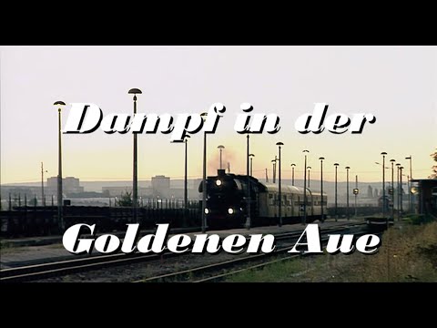 Steam in the Golden Plain. Traveling with locomotives 03 1010, 50 3708, 52 8039 and 89 1004