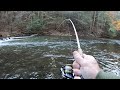 Creek Fishing For BIG TROUT Rainbow Tiger Trout