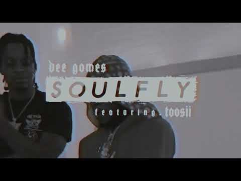 Dee Gomes - Soul Fly featuring Toosii [Visualizer]