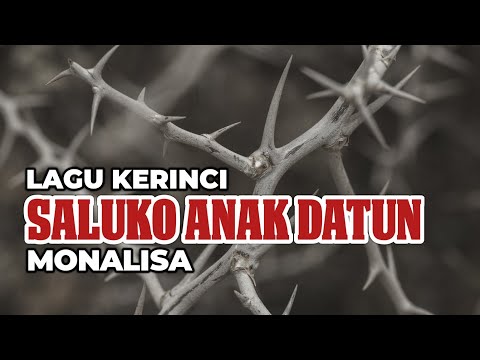 Lagu Kerinci SALUKO ANAK DATUN || Voc Monalisa