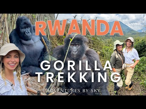 Gorilla Trekking in Rwanda - FACE TO FACE WITH WILD MOUNTAIN GORILLAS | Volcanoes National Park