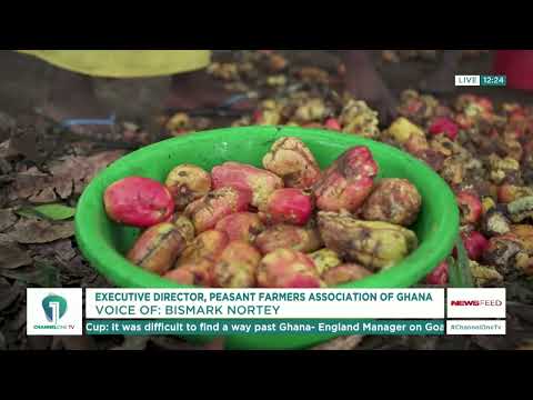 Feed Ghana Programme: Farmers Demand Broader Fertiliser Market Reforms | Ghana News