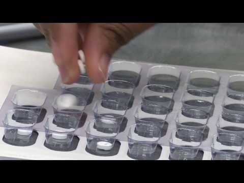 Your Palatka A1 Pharmacy Solution