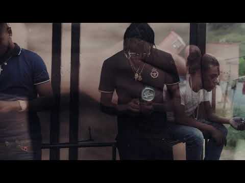 Franco Wildlife - Believe (Official Audio Visualizer)