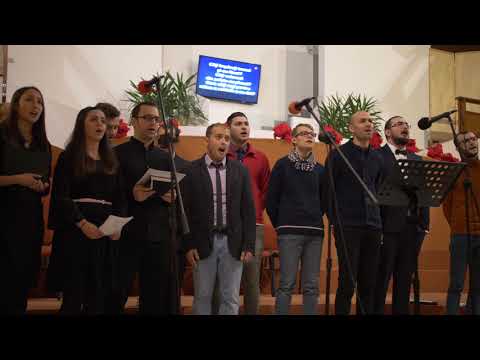 Cati Imparati - Tinerii BCB